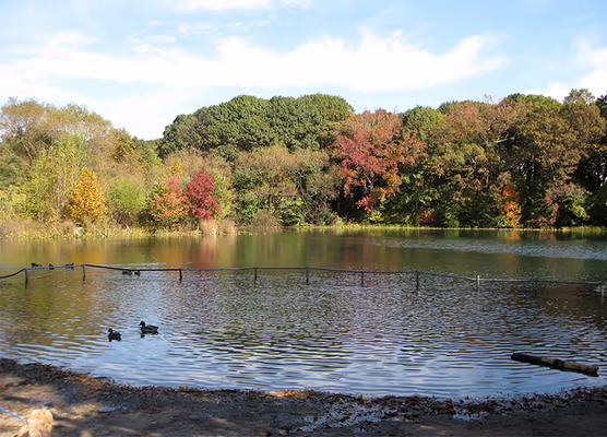 Dog Beach at Prospect Park photo 2